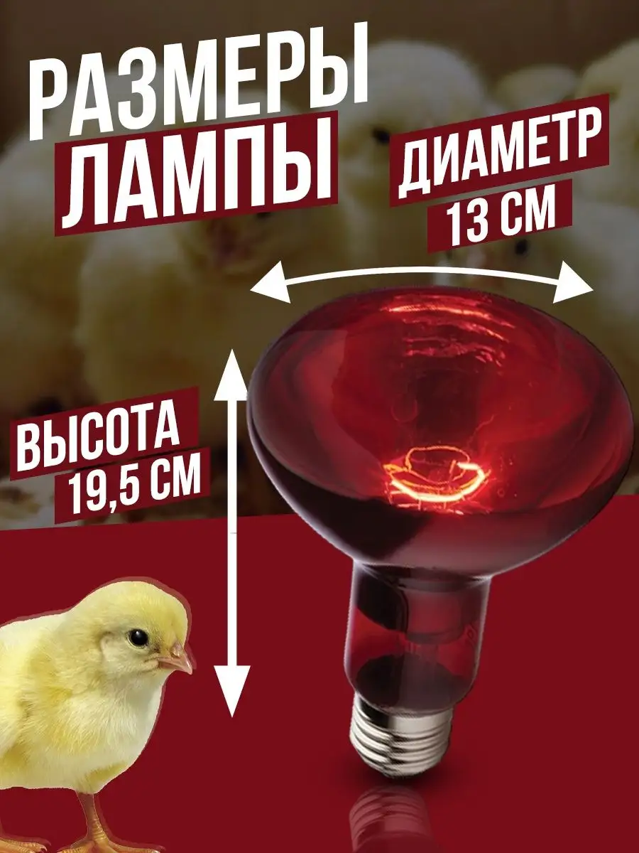 Для чего нужна красная лампа