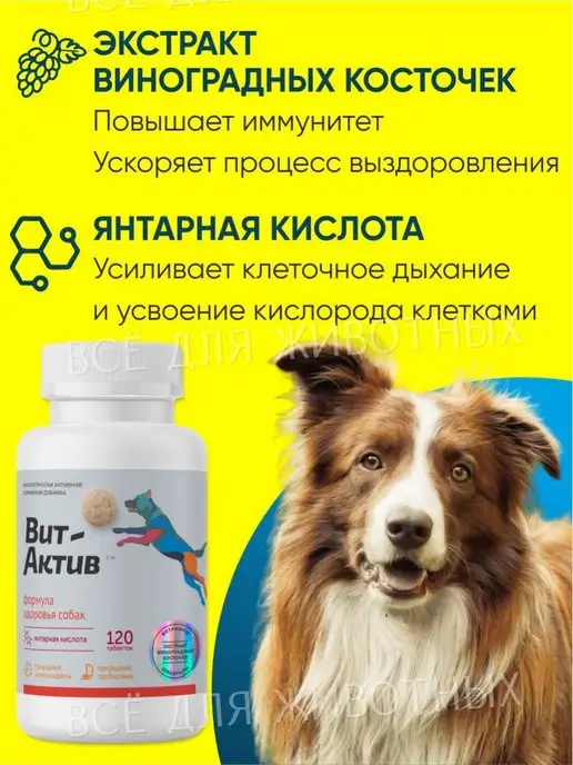 Вит-Актив Витаминно-минеральный комплекс для собак для иммунитета, вариант, фото 2