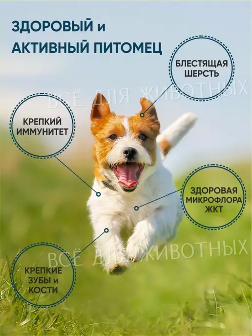 Вит-Актив Витаминно-минеральный комплекс для собак для иммунитета, вариант, фото 3