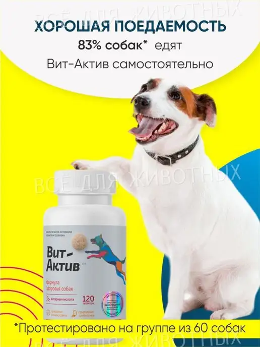Вит-Актив Витаминно-минеральный комплекс для собак для иммунитета, вариант, фото 5