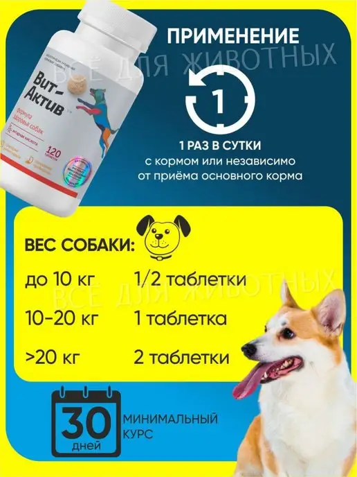 Вит-Актив Витаминно-минеральный комплекс для собак для иммунитета, вариант, фото 7