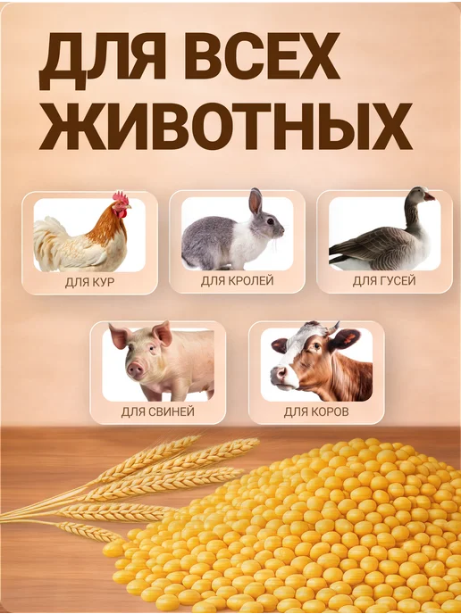 Фермер Зернодробилка электрическая для зерна 7USM-IZE05, 220В, 5 л, фото 3