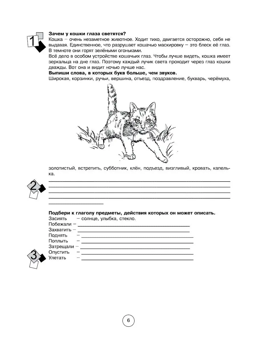 Занимательная летняя школа 4-5 классы 5 за знания 23811857 купить за 335 ₽  в интернет-магазине Wildberries