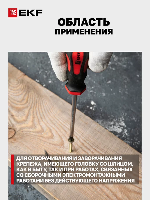 EKF Отвертка крестовая PH1x100 мм Маster, 1x100 мм, фото 2