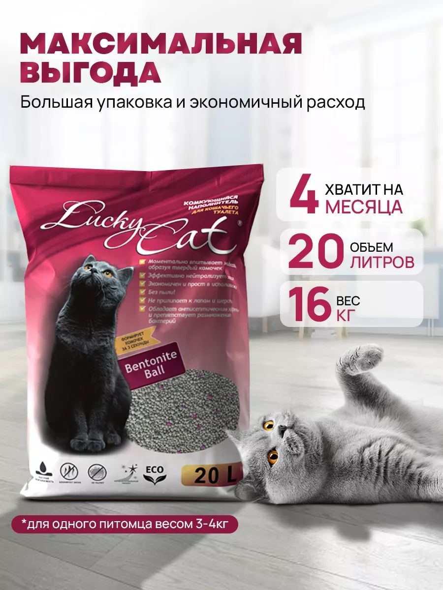 Наполнитель для кошачьего туалета комкующийся 20л Lucky Cat 23924038 купить  за 1 473 ₽ в интернет-магазине Wildberries