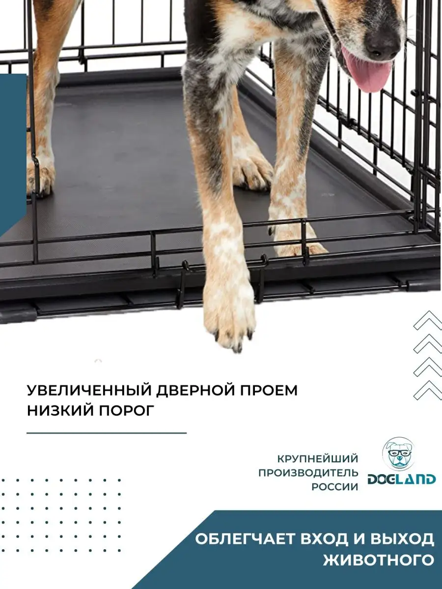 Клетка для переноски мелких и средних собак и кошек DOGLAND 24311136 купить  за 2 507 ₽ в интернет-магазине Wildberries