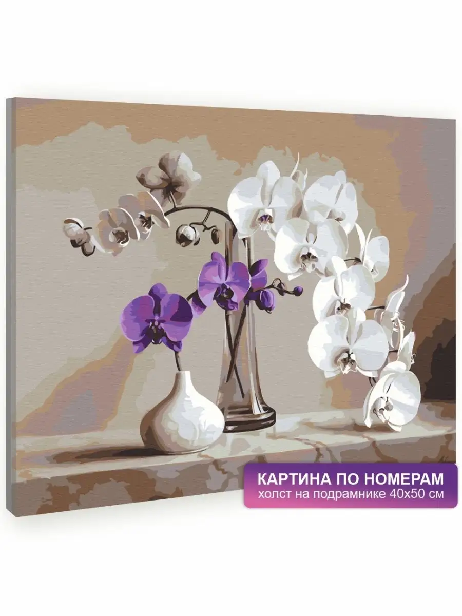 Картина по номерам Нежная орхидея, Raskraski, GX - описание, отзывы, продажа | CultMall