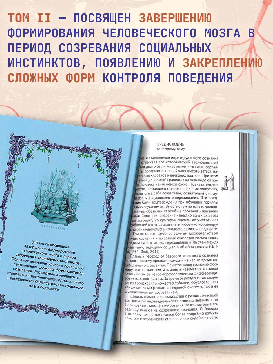 Морфология сознания. Том 2. Савельев С.В. Издательство Веди 24548564 купить  за 1 528 ₽ в интернет-магазине Wildberries