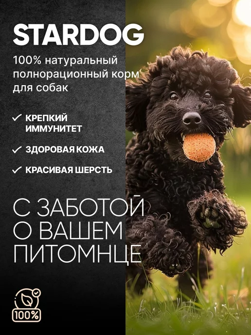 Сухой корм STARDOG для собак, крупные, средние, говядина, 3 кг, фото 5