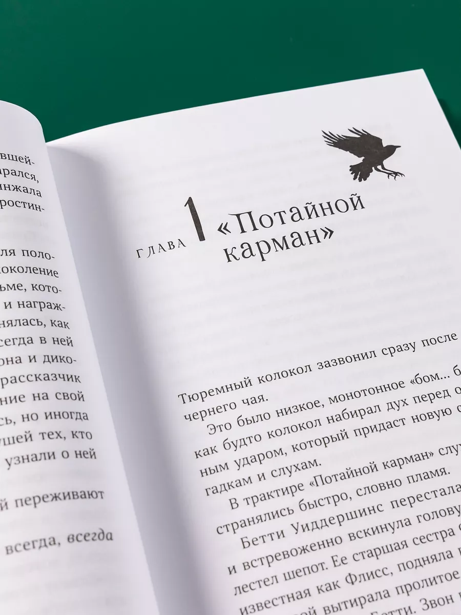 Горстка волшебства Альпина. Книги 24604806 купить в интернет-магазине  Wildberries