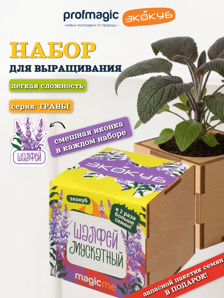 Набор для выращивания Экокуб Шалфей Мускатный
