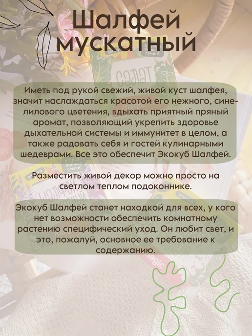 magicme Набор для выращивания Экокуб Шалфей Мускатный, вариант, фото 6