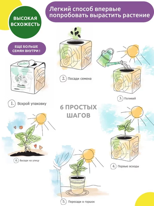 magicme Набор для выращивания Экокуб Шалфей Мускатный, вариант, фото 7