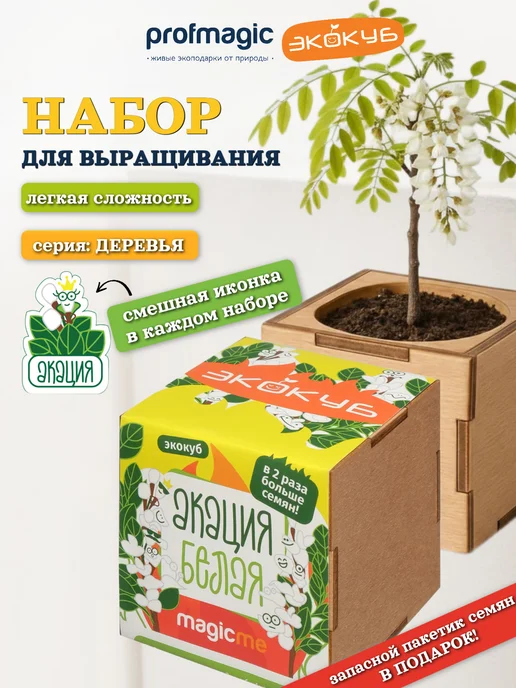 magicme Набор для выращивания Экокуб Акация Белая, белый