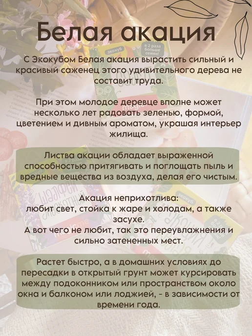 magicme Набор для выращивания Экокуб Акация Белая, белый, фото 6