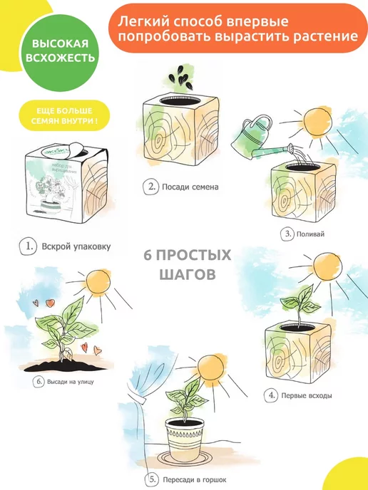 magicme Набор для выращивания Экокуб Акация Белая, белый, фото 7