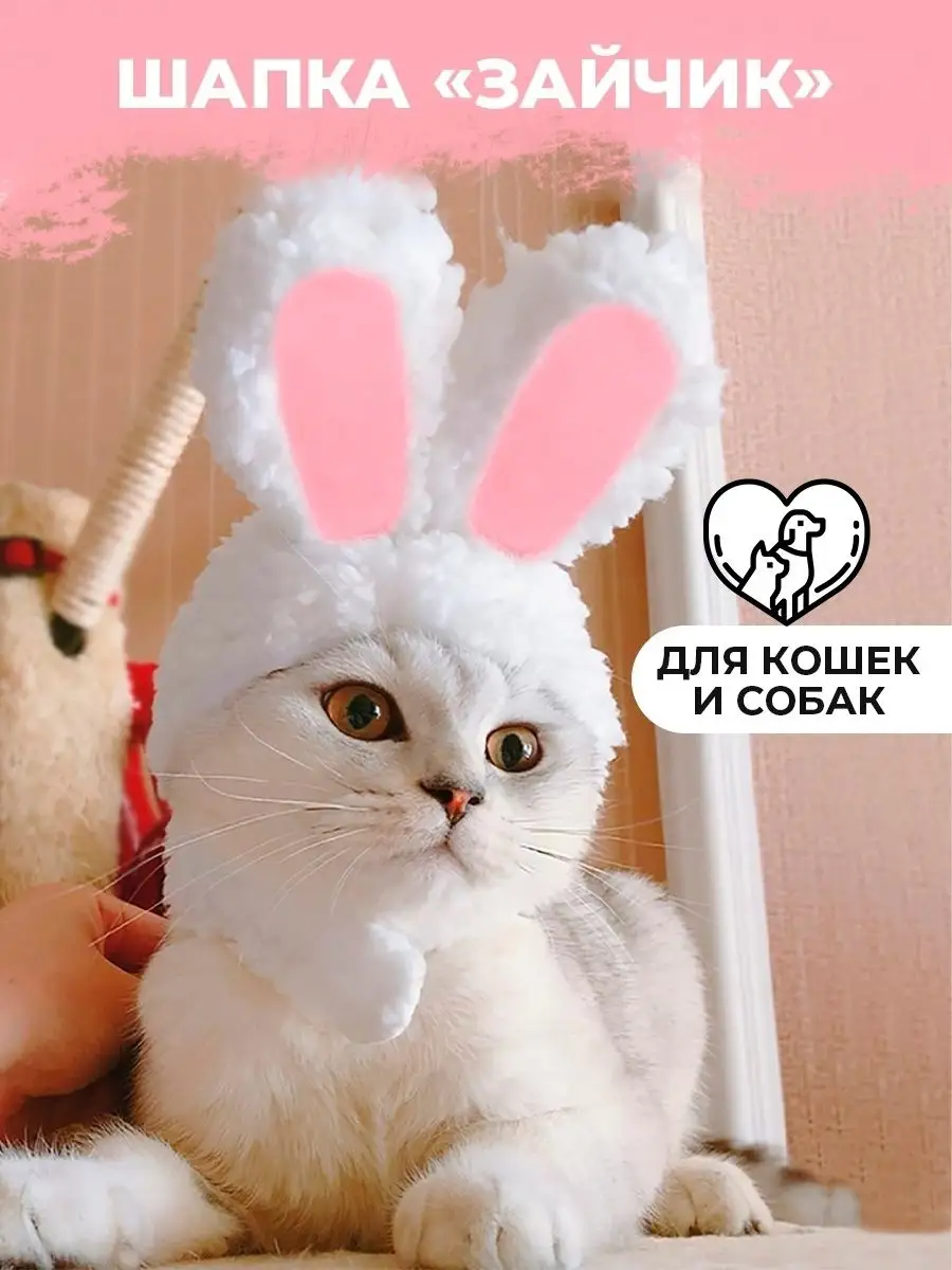Фармавит Актив К-КМ для кошек и котят