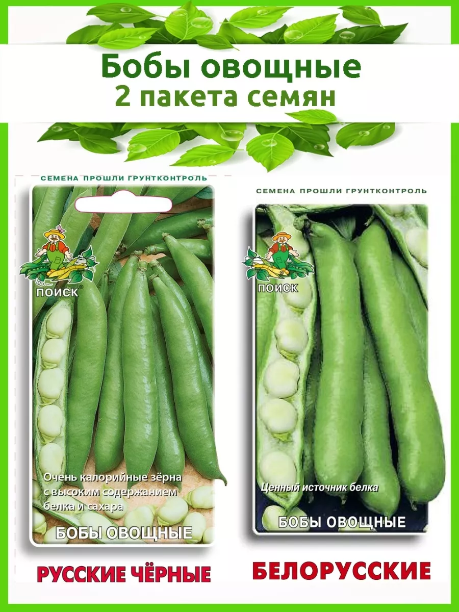 Купить Семена Бобов Овощных