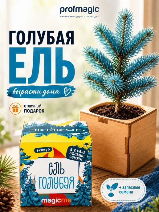 magicme Набор для выращивания Экокуб Голубая Ель, голубой