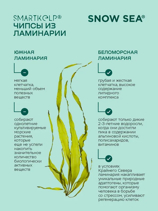 SNOW SEA Чипсы из морской водоросли ламинарии SMARTKELP 12 г, 12 г, фото 2