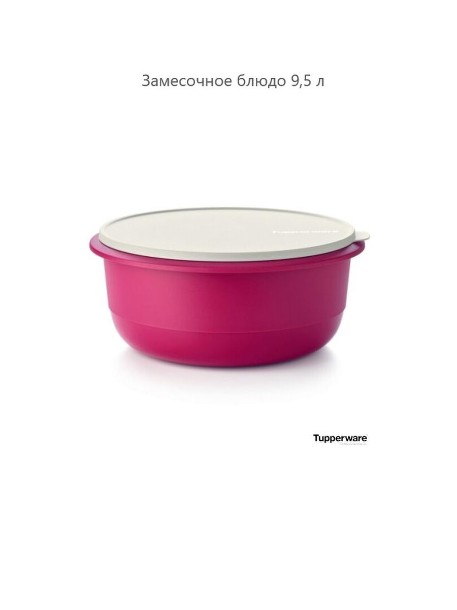 Замесочное блюдо 9,5 л Tupperware 25364432 купить за 3 025 ₽ в  интернет-магазине Wildberries