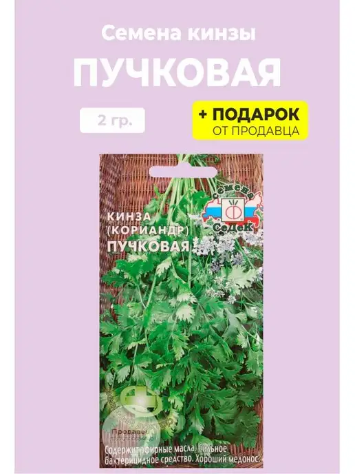 СеДеК Семена кинза "Пучковая", вариант, фото 2