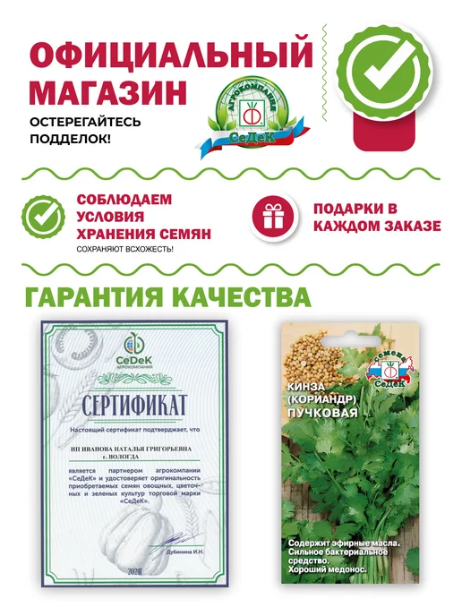 СеДеК Семена кинза "Пучковая", вариант, фото 3