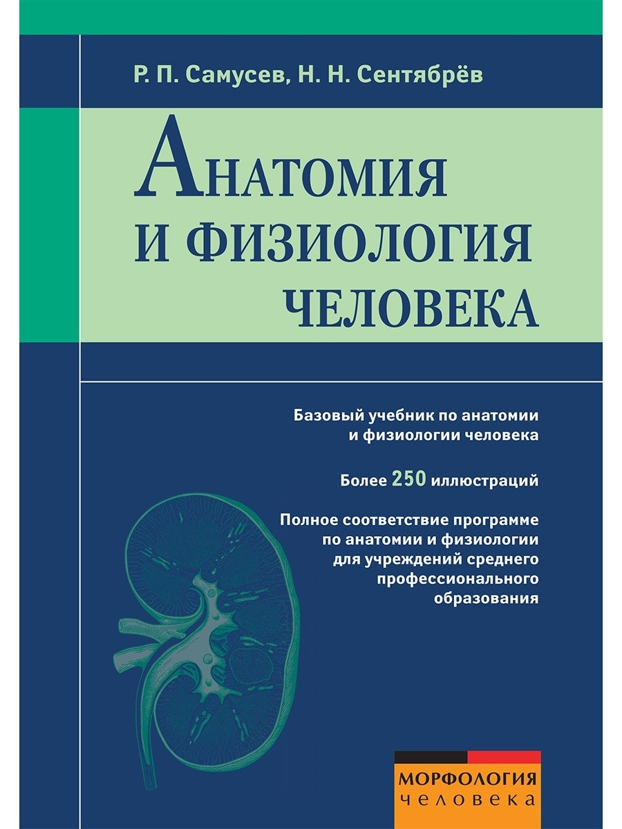 Программа анатомии человека. Учебник Самусев Сентябрев анатомия. Анатомия и физиология человека Гайваронски. Анатомия и физиология человека учебник.