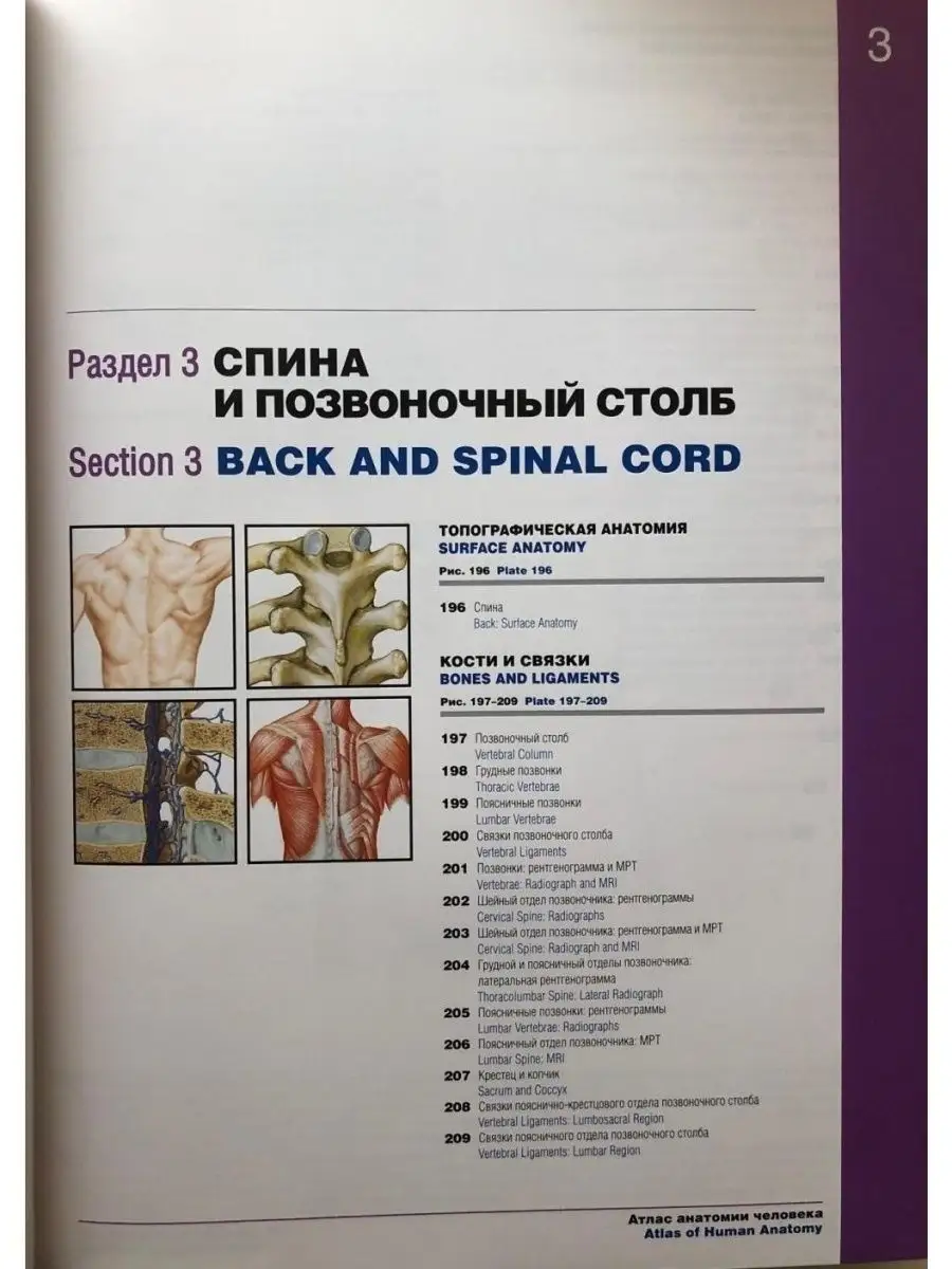 Атлас анатомии человека. Терминология ГЭОТАР-Медиа 25545313 купить в  интернет-магазине Wildberries