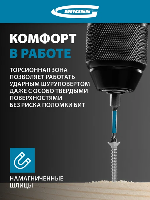 GROSS Набор бит для шуруповерта торсион. PH1x50, 10 шт 11492, 1x50, 10 шт, фото 3