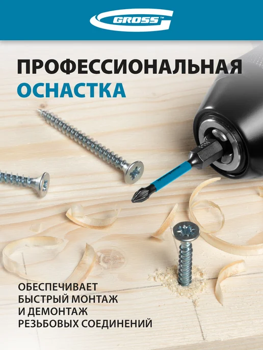 GROSS Набор бит для шуруповерта торсион. PH1x50, 10 шт 11492, 1x50, 10 шт, фото 4