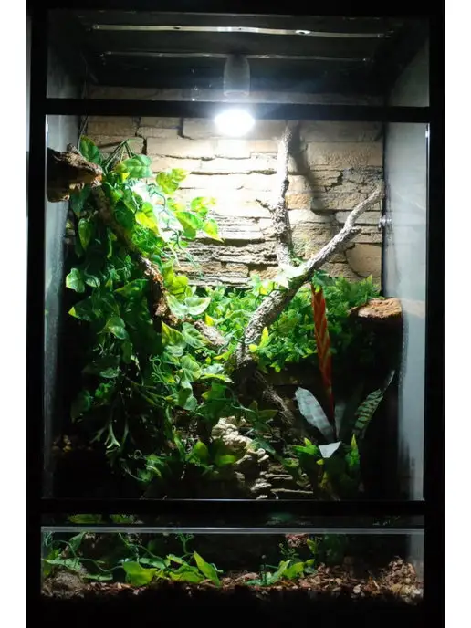 LUCKY REPTILE Лампа светодиодная LED Sun Spot, белый, фото 4