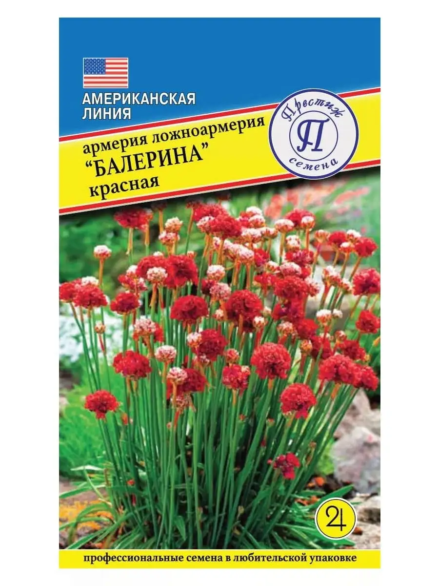 Семена цветов АРМЕРИЯ БАЛЕРИНА КРАСНАЯ Престиж Семена 25645745 купить за  126 ₽ в интернет-магазине Wildberries