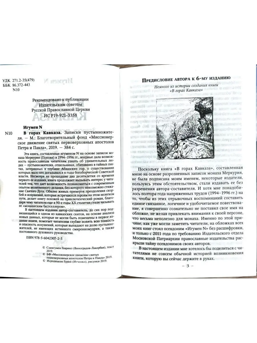 В горах Кавказа. Записки пустынножителя Миссионерское движение св.  апостолов Петра и Павла 25741174 купить в интернет-магазине Wildberries