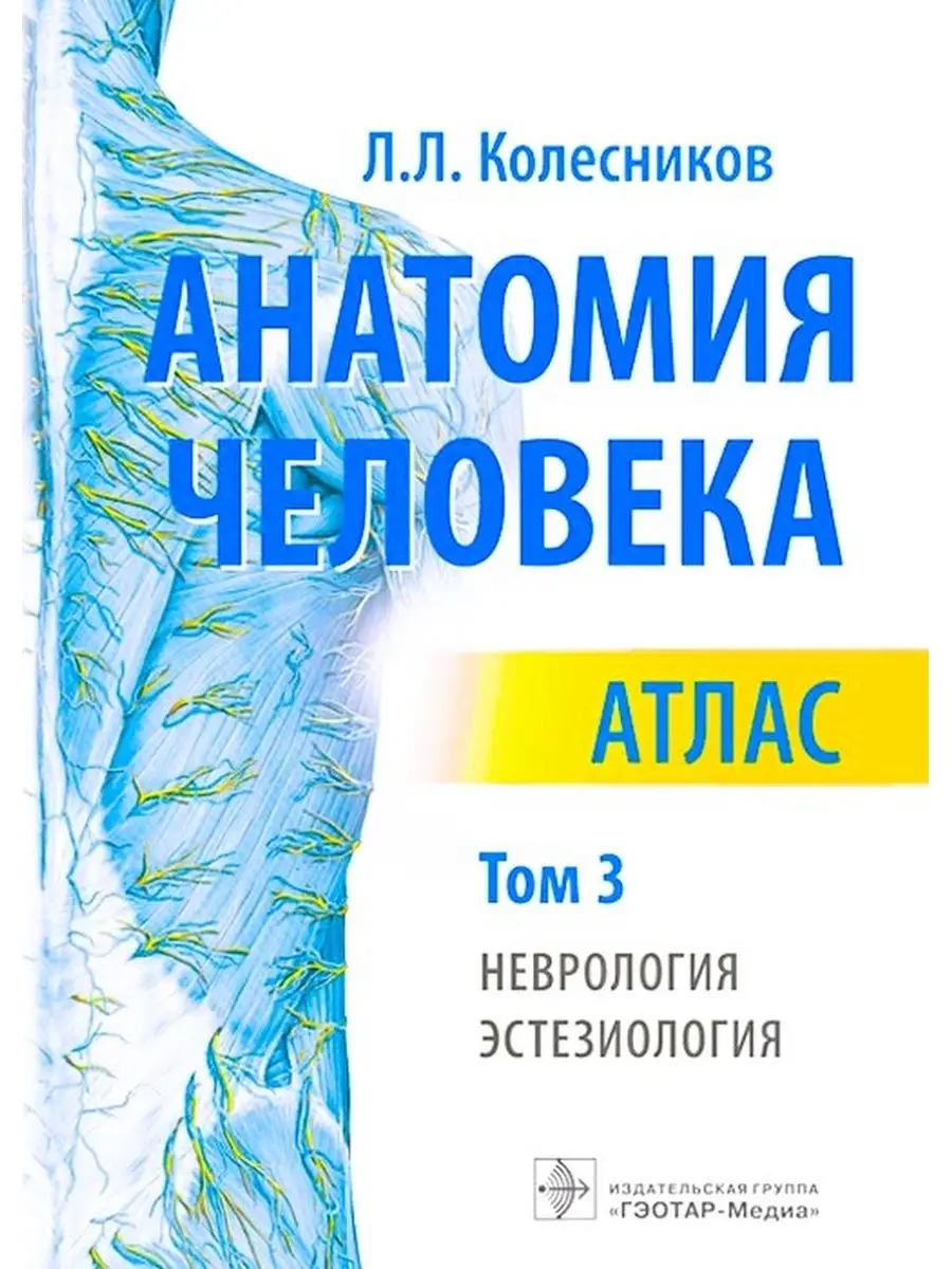 Анатомия человека. Атлас. В 3-х томах. Том 3 Колесников Л.Л ГЭОТАР-Медиа  25798076 купить за 2 763 ₽ в интернет-магазине Wildberries