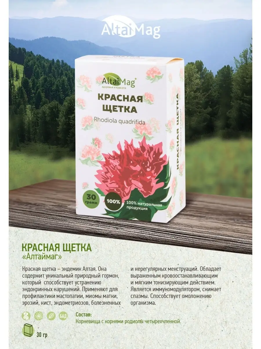 Красная щетка родиола 30 гр Altaimag 25803582 купить за 158 ₽ в  интернет-магазине Wildberries