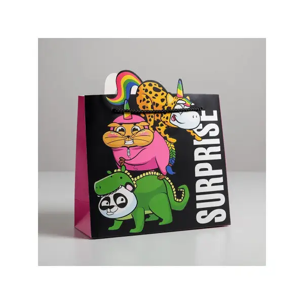 Пакет подарочный Surpprise, 25х26х10 см