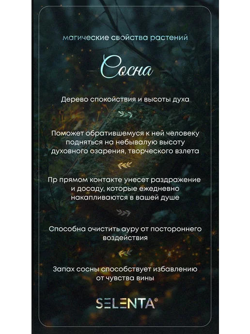 Selenta Эфирное масло Сосны Водо. 30мл, 30 мл, фото 3