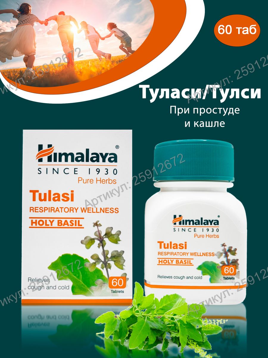 Туласи (Тулси, Tulasi), Himalaya Herbals, 60 таб. (250 мг.) BEAUTECRETS  25912672 купить за 409 ₽ в интернет-магазине Wildberries