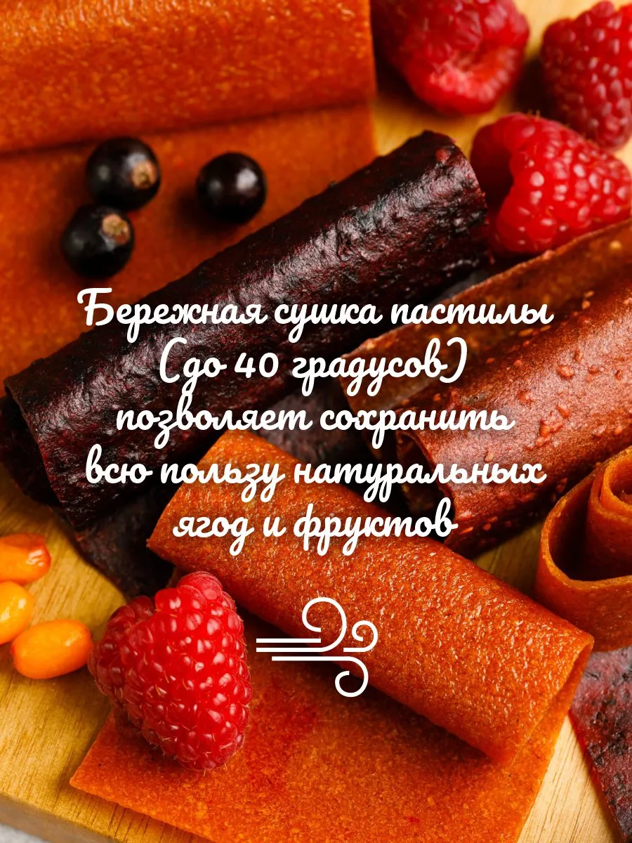 Ягодная пастила без сахара 100г Сибирский кедр 25922122 купить за 422 ₽ в  интернет-магазине Wildberries