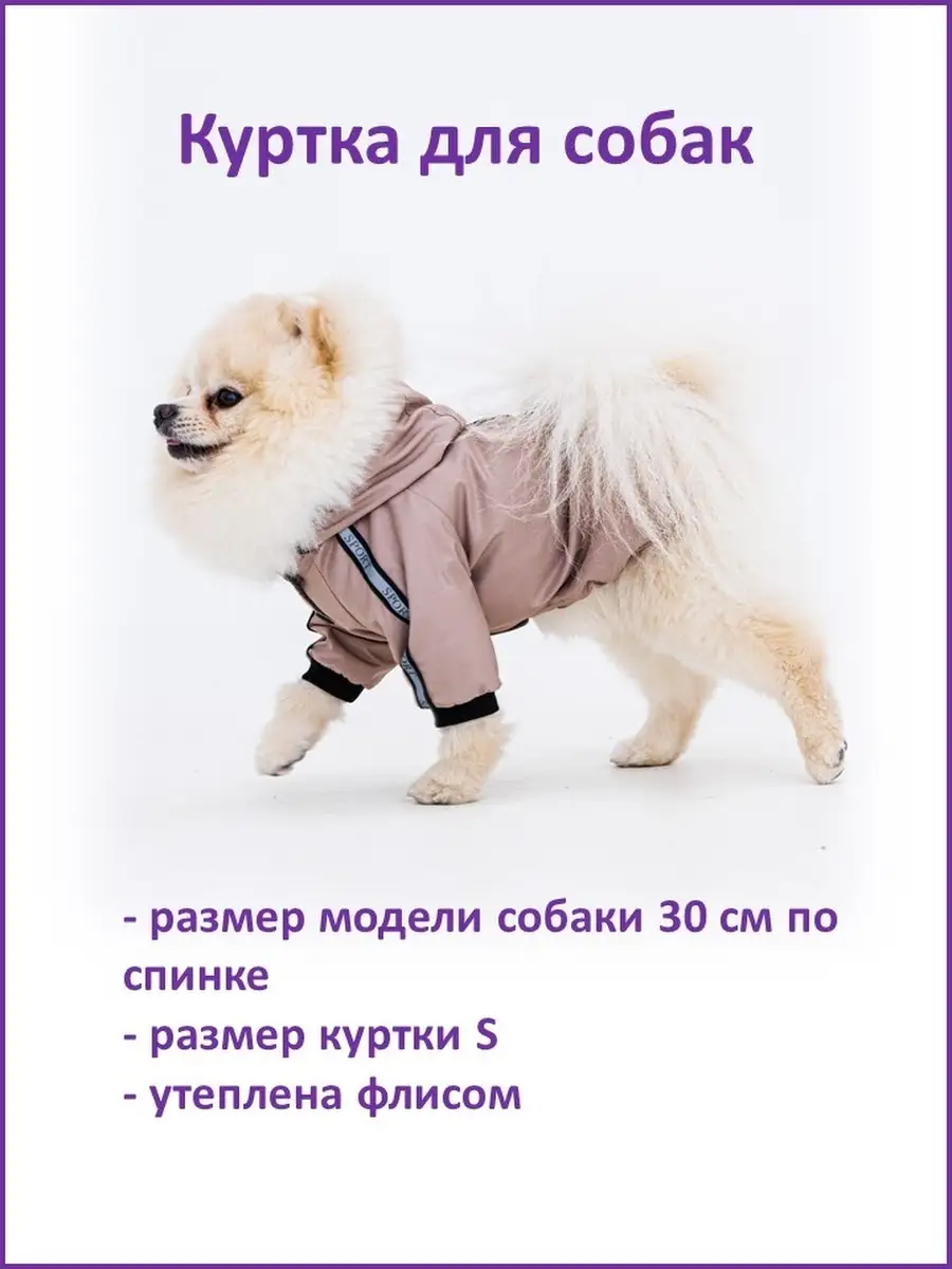 Dog Dress Pattern