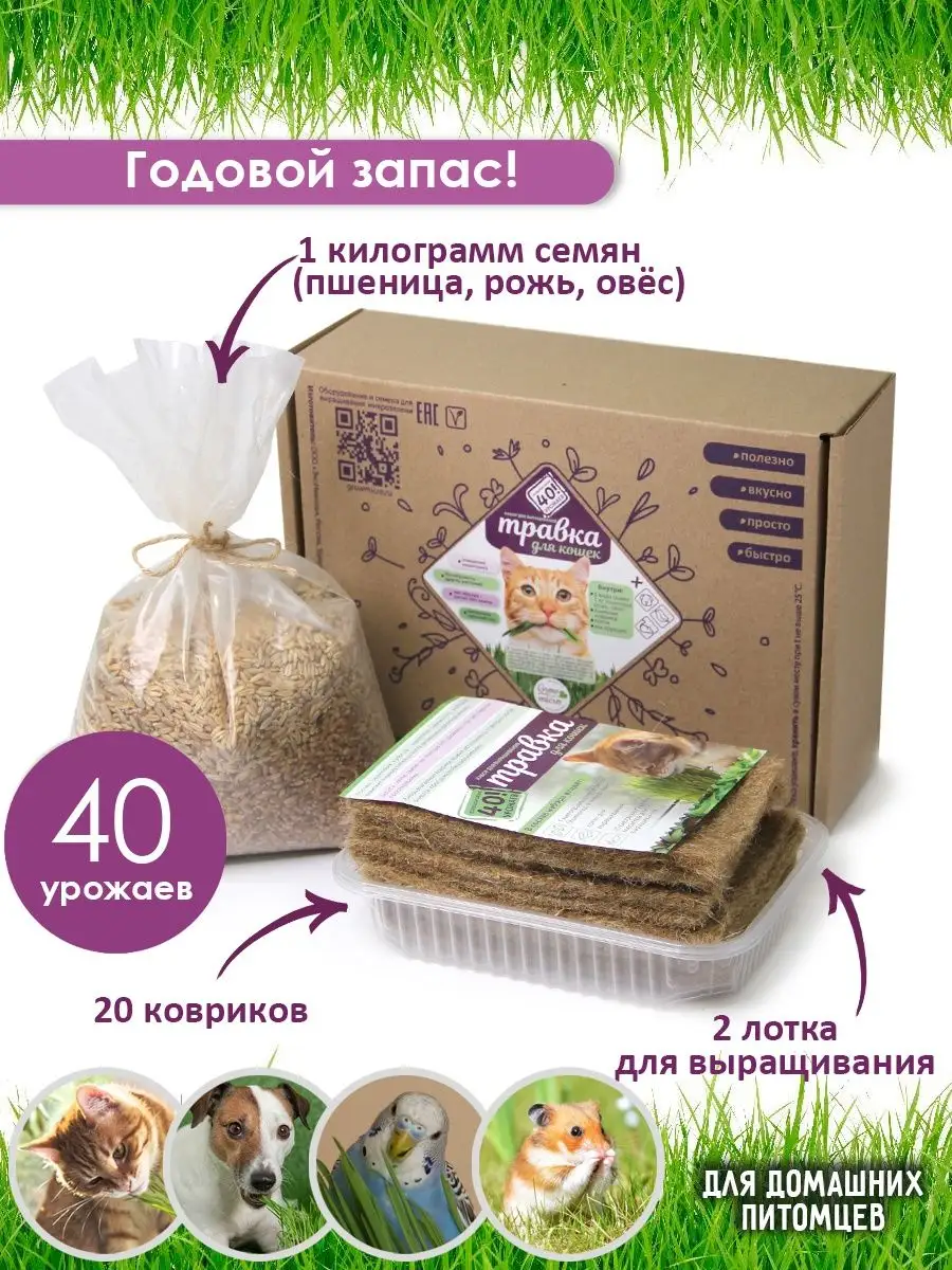 Трава для кошек собак хомяков птиц 40 урожаев
