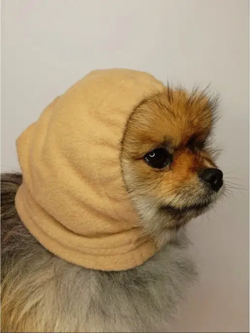 Patriky Теплая шапка для собак для животных, бежевый, фото 2