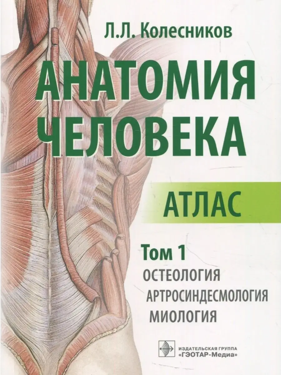 Анатомия человека. Атлас. В 3-х томах. Том 1. Остеология, ар ГЭОТАР-Медиа  26039998 купить за 2 760 ₽ в интернет-магазине Wildberries