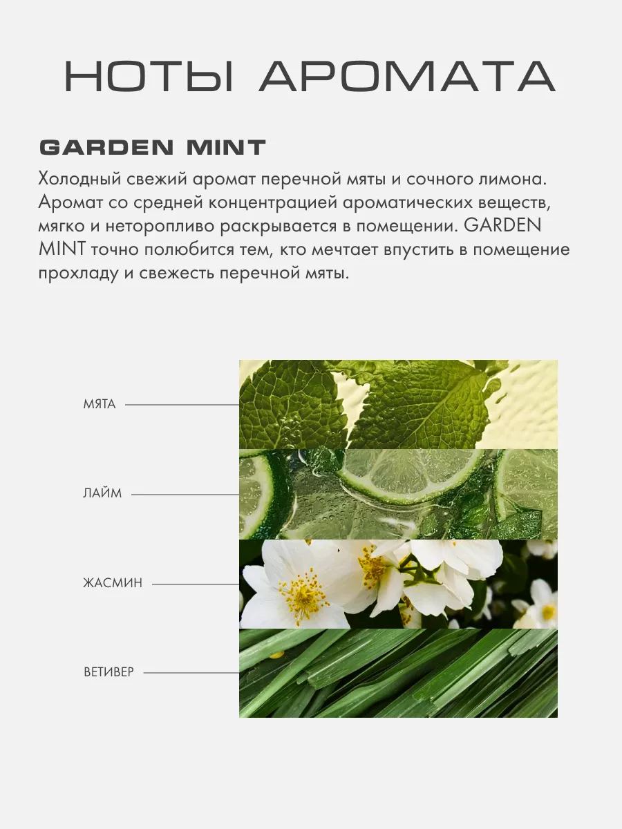 Диффузор с палочками для дома с ароматом GARDEN MINT Kaori 26079213 купить  за 2 290 ₽ в интернет-магазине Wildberries