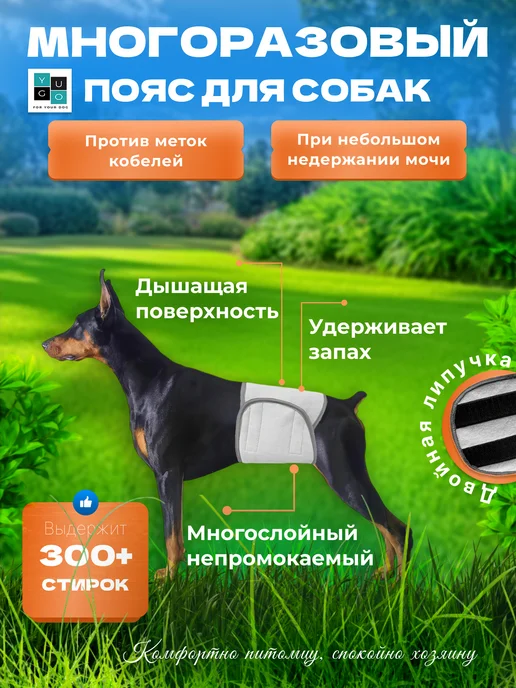 YUGO for your dog Пояс для собак кобелей многоразовый