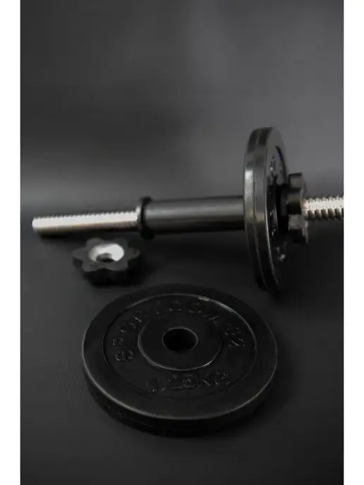 Barfits Диск обрезиненный металлический 1,25кг D 26мм, 1,25 кг, фото 4