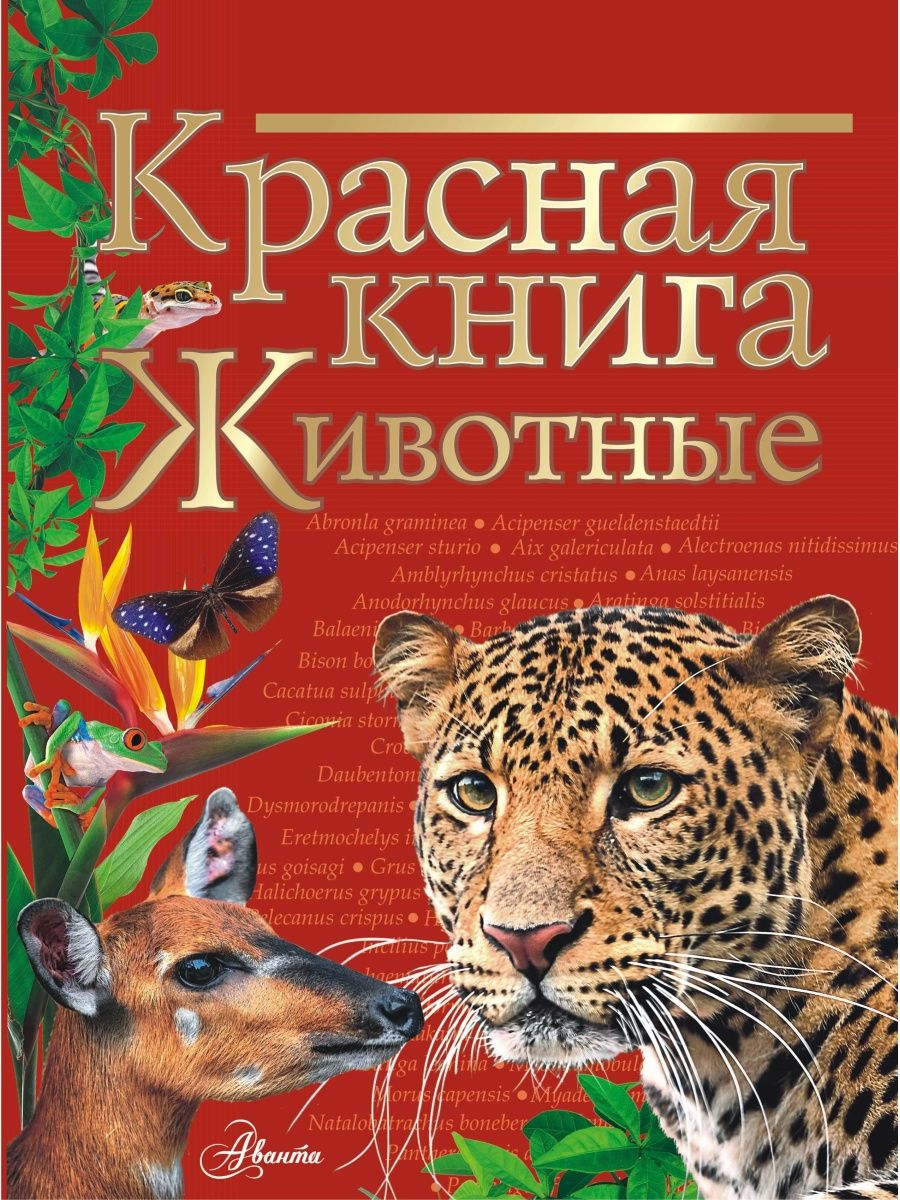 Красная книга. Животные Издательство АСТ 26123905 купить за 628 ₽ в  интернет-магазине Wildberries