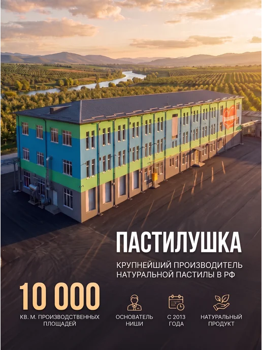 Пастилушка Пастила натуральная, фруктовое ассорти, вариант, фото 4