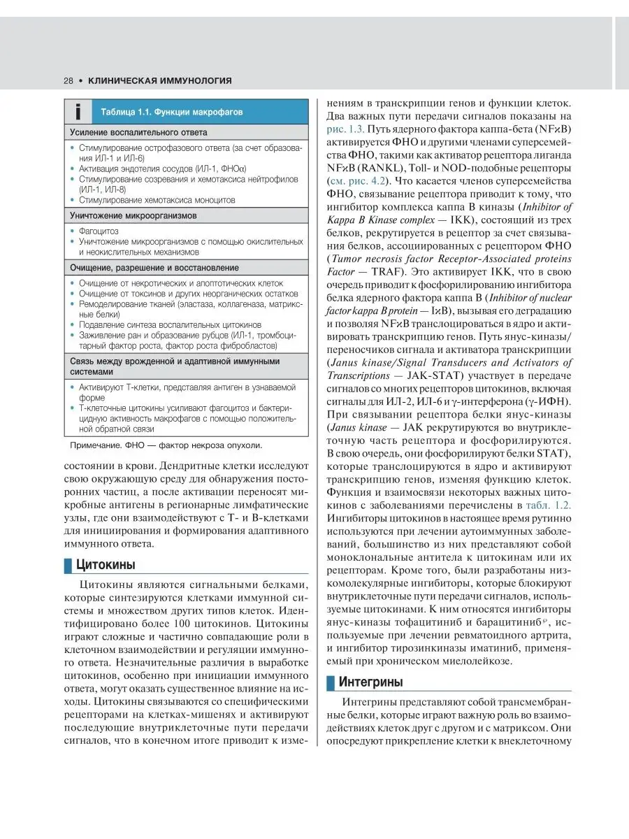 Внутренние болезни по Дэвидсону. В 5 томах. Том V. Инфекции ГЭОТАР-Медиа  26202742 купить за 3 600 ₽ в интернет-магазине Wildberries